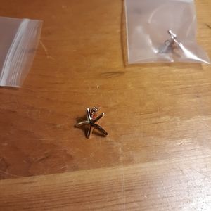 Shell shaped earrings